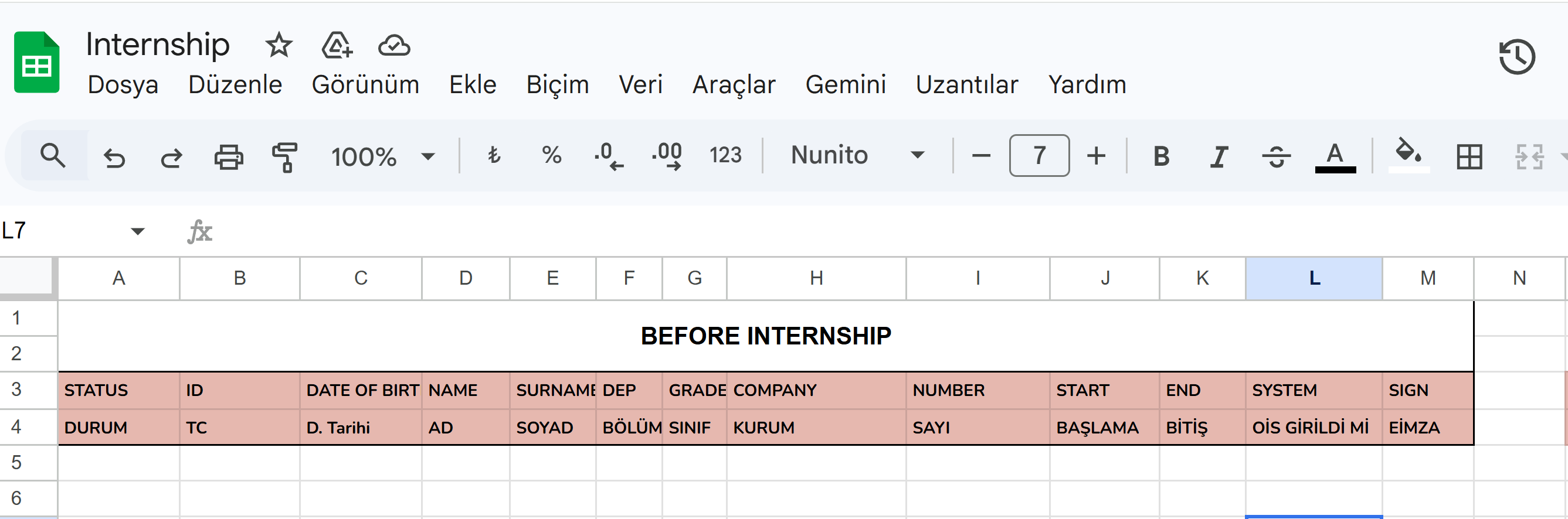 Excel Staj Ön Bilgi Formu görüntüsü